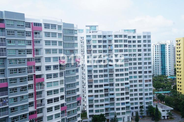 Blk 618C Punggol Drive (Punggol), HDB 5 Rooms #164846572
